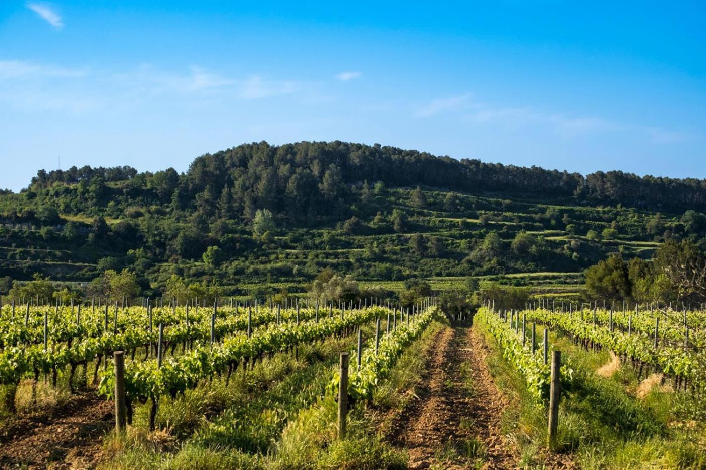 Hotel Air Penedes Вилафранка дел Пенедес Екстериор снимка